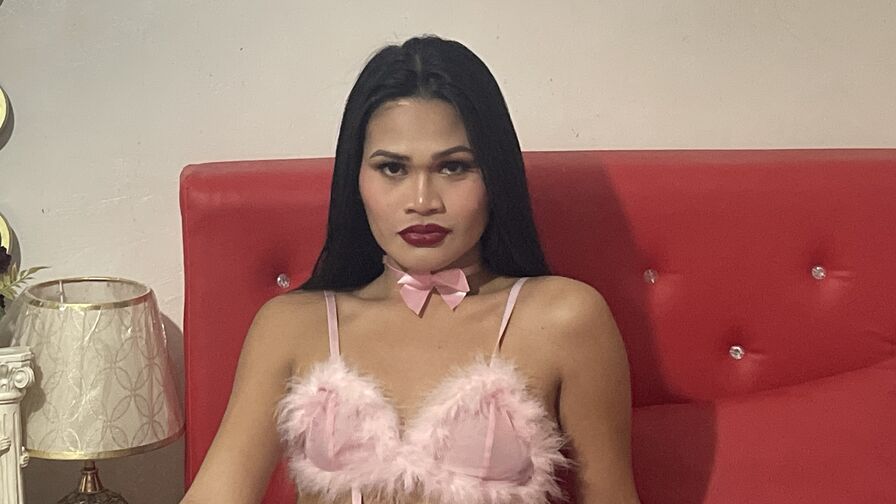 StomiCarolina webcam show