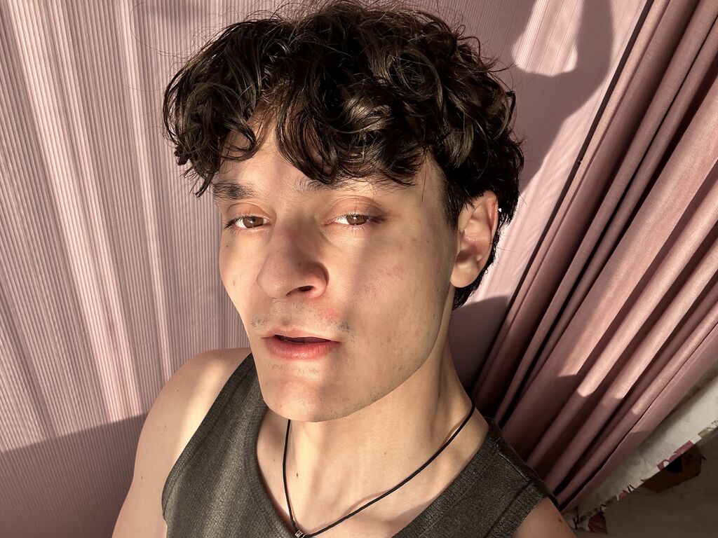 PulsePrince guy cam profile
