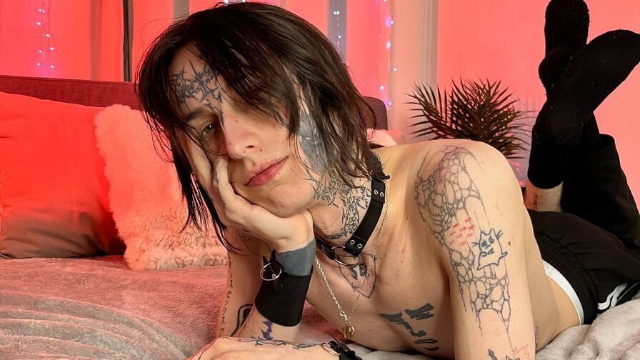 Watch FrankDunson live on E-Chat