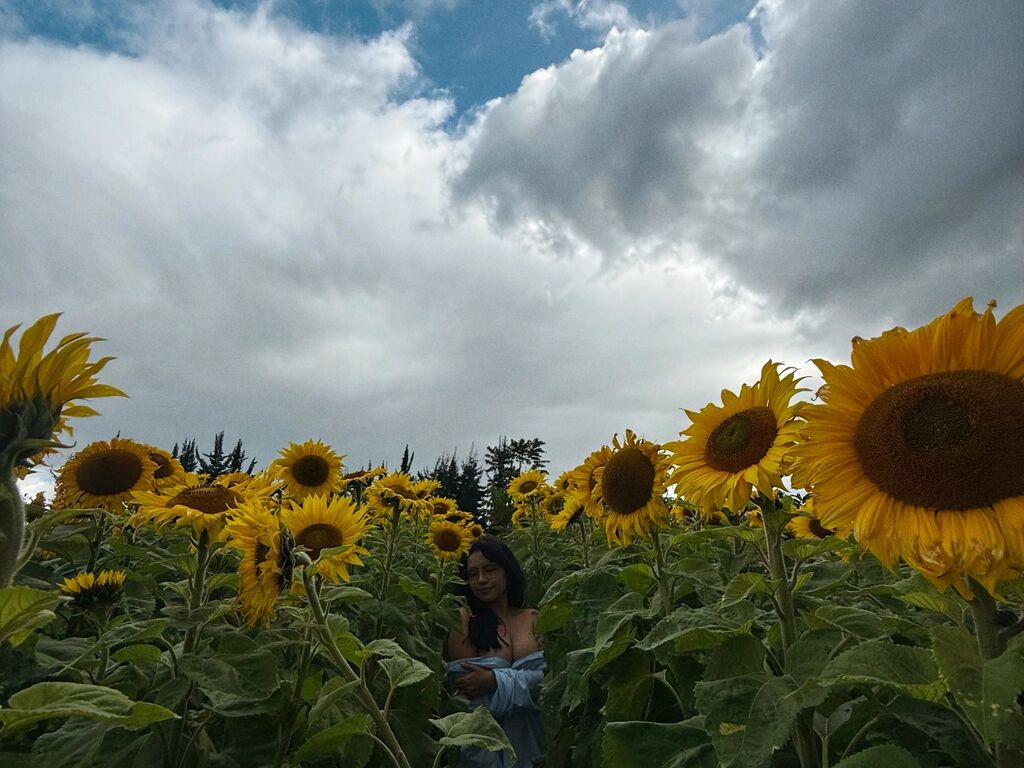 MarieLima