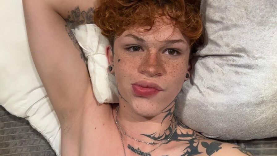 Watch AndrewWolfman live on Live Cams
