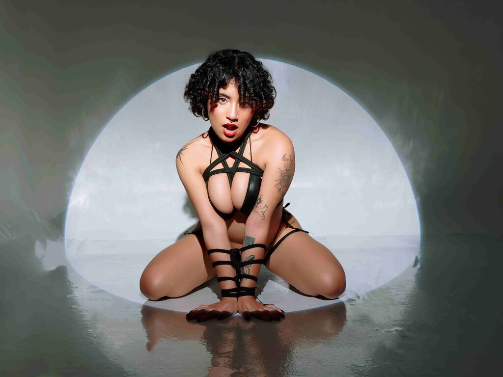 DixieLyons Profile Image