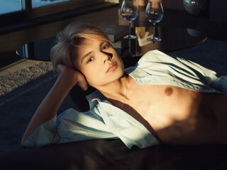 FelixGrey is a webcam model from Unknown Country age 19