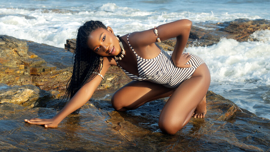 Enjoy Live Webcam with NaraKiwi